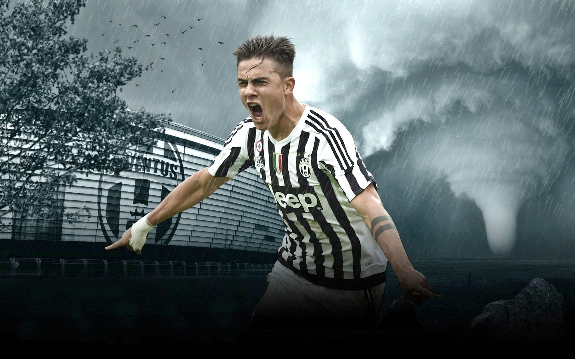 维拉与布伦特福德的重大交易，五千万的锋线答案