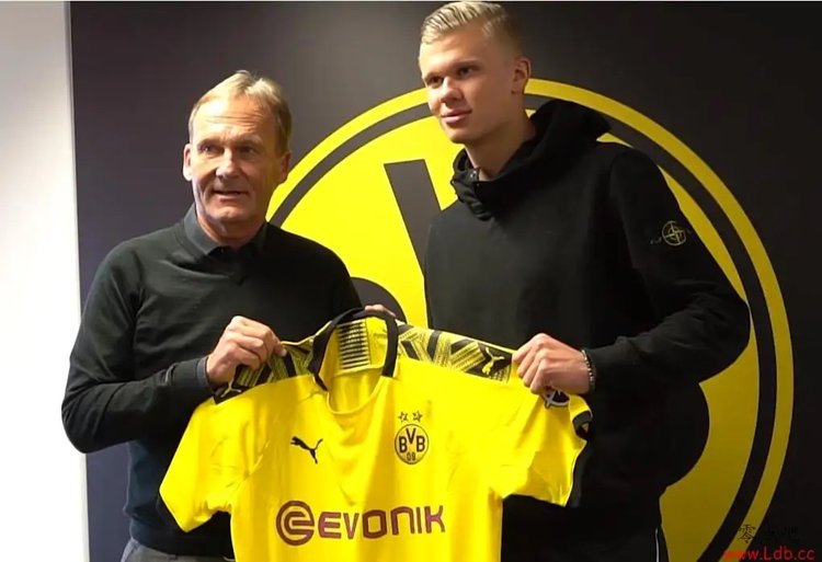 斯洛特头发都愁没了！伤病+停赛，红军VS狼队恐有多达8人缺阵（伤停潮来袭！红军战狼队或缺8将，斯洛特用人犯难）