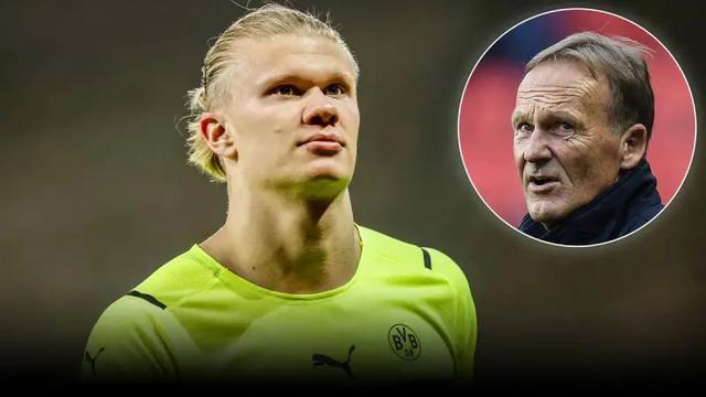 黄蜂VS猛龙前瞻：猛龙盼成功复仇，黄蜂客场胜率仅9.1%